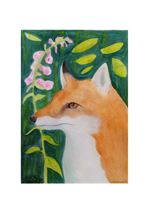 Portrait of A Fox - Fine Art Print