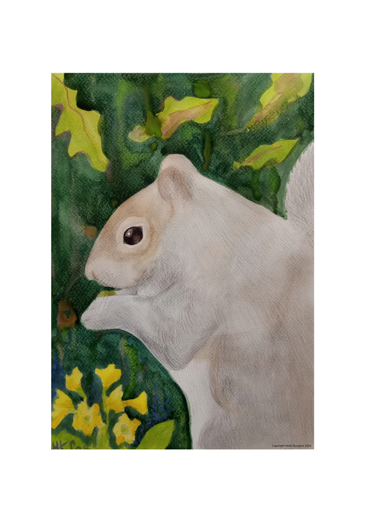 Portrait of A Squirrel - Fine Art Print