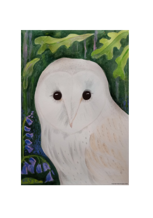 Portrait of A Owl - Fine Art Print