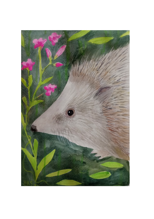 Portrait of A Hedgehog - Fine Art Print